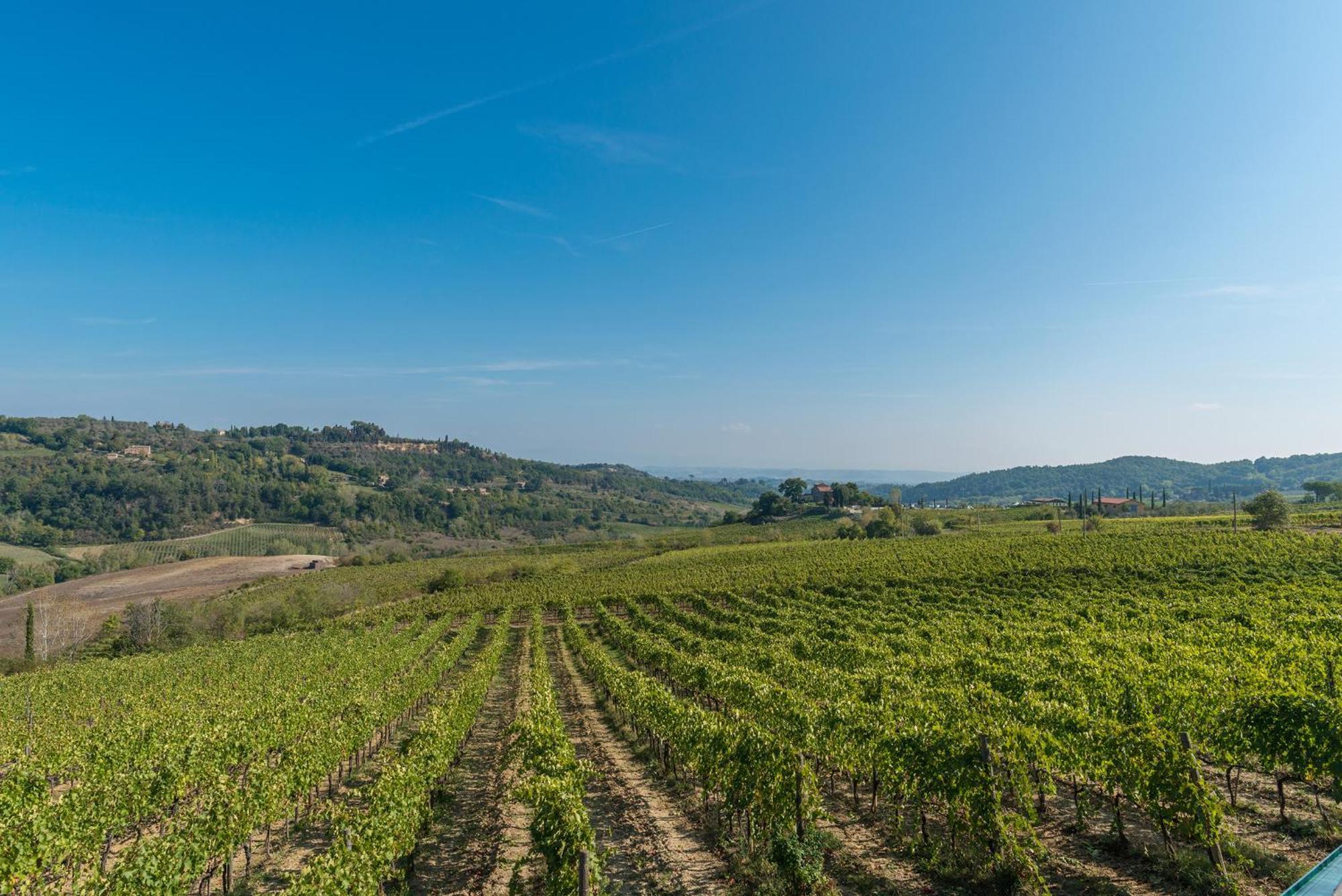 Bed and Breakfast The Grapevine By Manvi Montepulciano Stazione Esterno foto